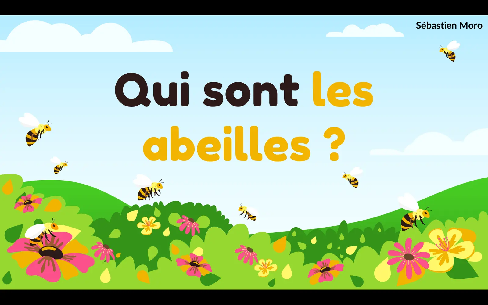 Illustration de la conférence Qui sont les abeilles ?