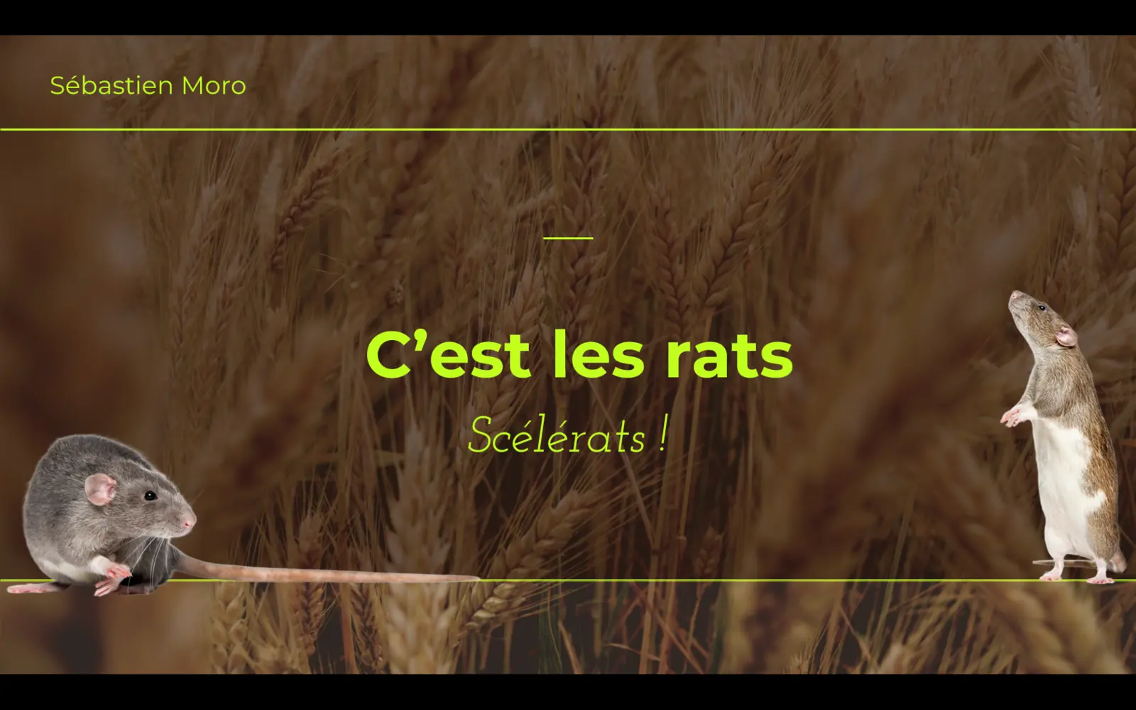 Illustration de la conférence Scélérats : une conférence dont vous êtes le héros !